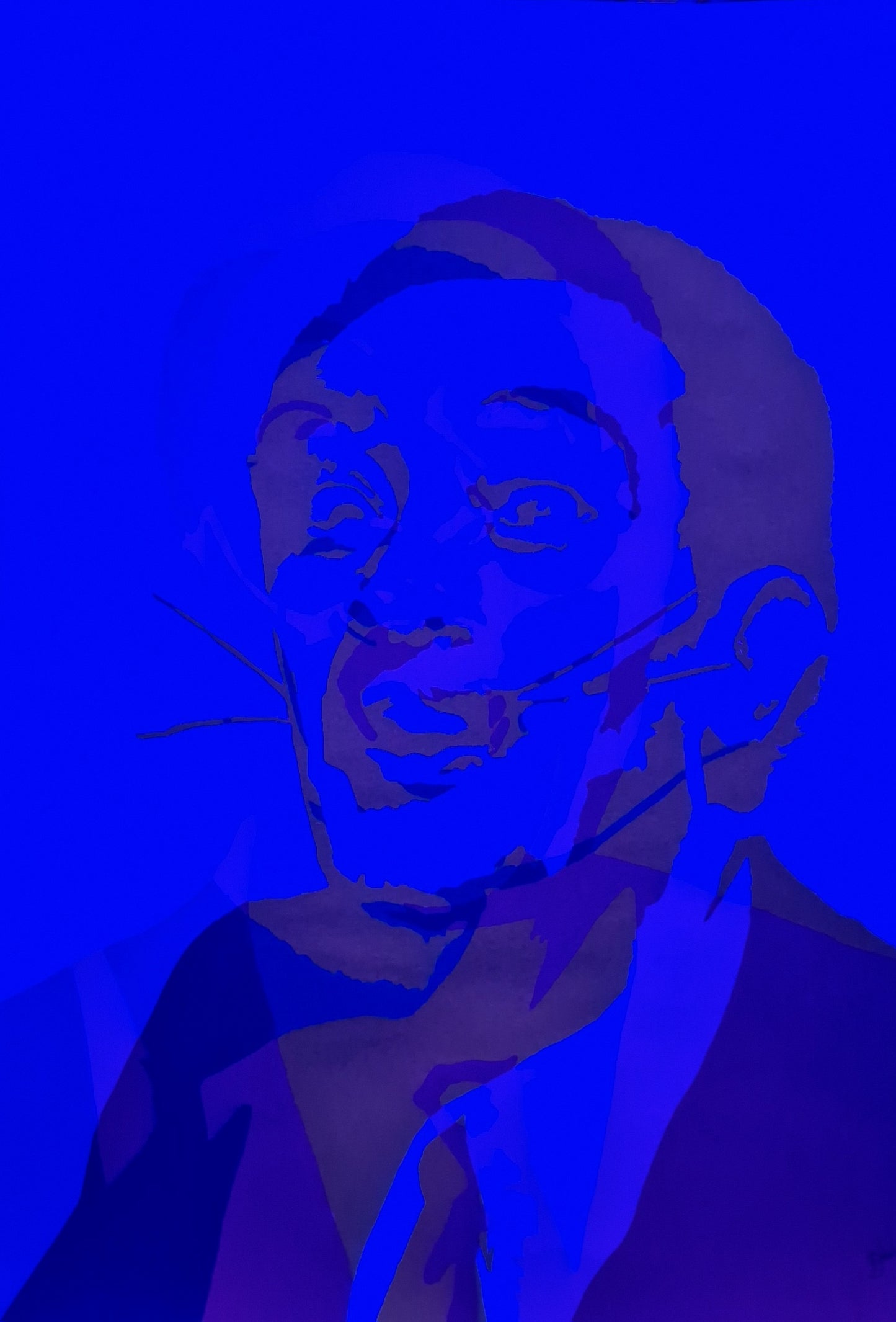 Limited Edition 'Salvador Dali' Print Glitch collection