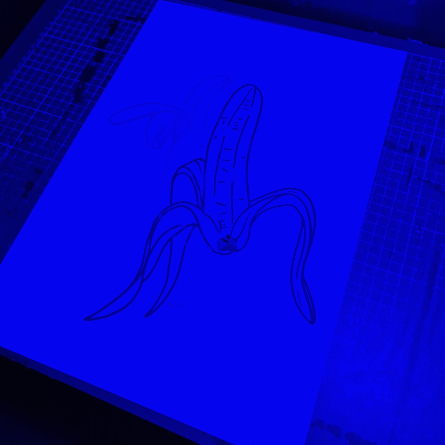 Limited Edition Hand Signed Print 'The Self Peeling Banana' Glitch collection